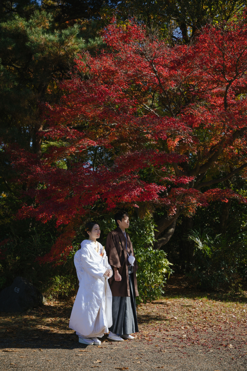 もみじと和装