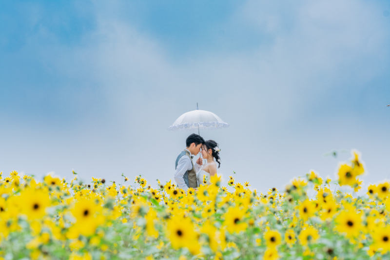 青空とひまわり