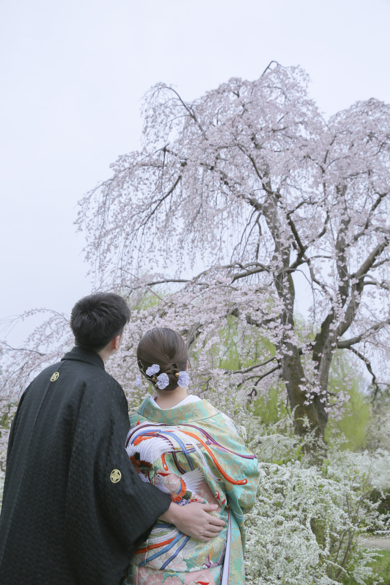 お花見。パート2