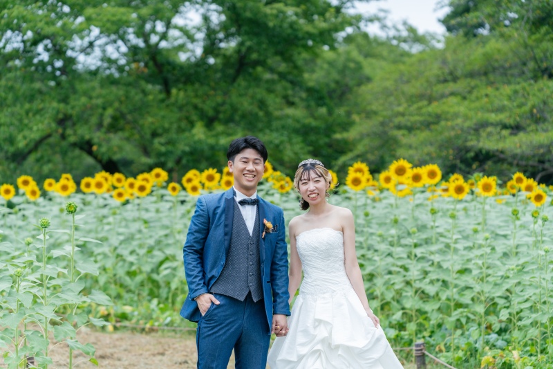 夏本番！ひまわり撮影