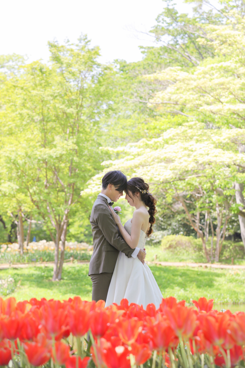 チューリップ畑。