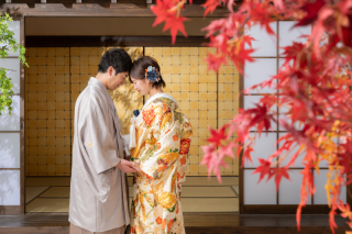 屋内庭園スタジオ