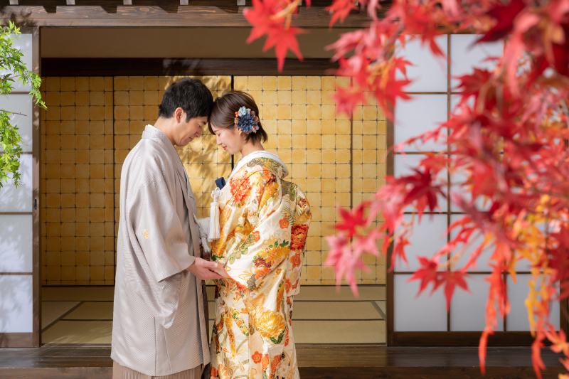 屋内庭園スタジオ