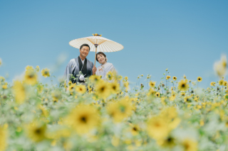 昭和記念公園ひまわり