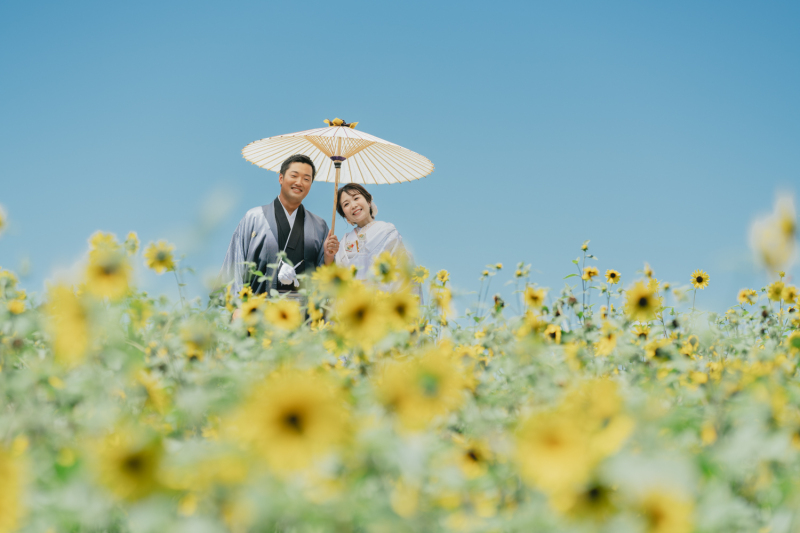 昭和記念公園ひまわり