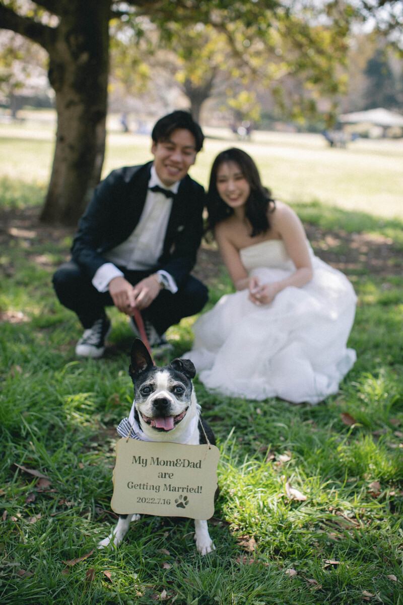 しっかり主役になってくれました