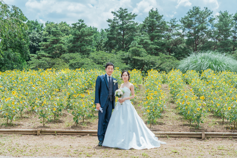 小ぶりなひまわり