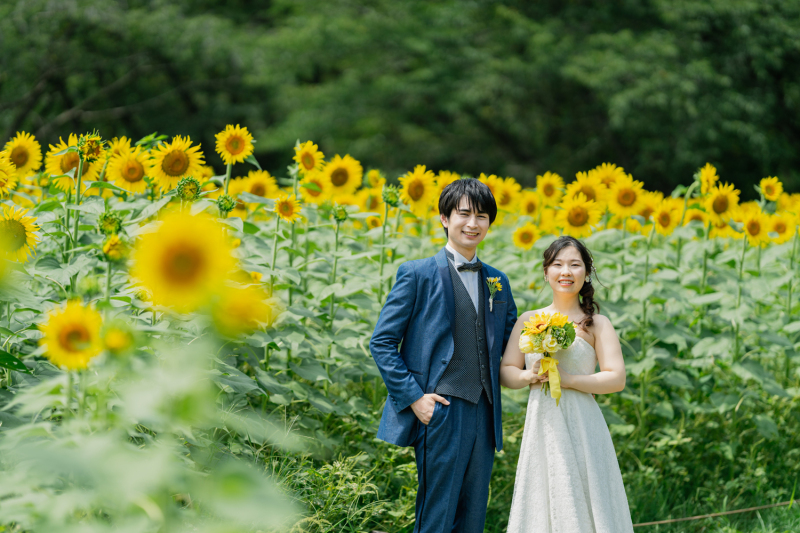 ひまわりに囲まれて