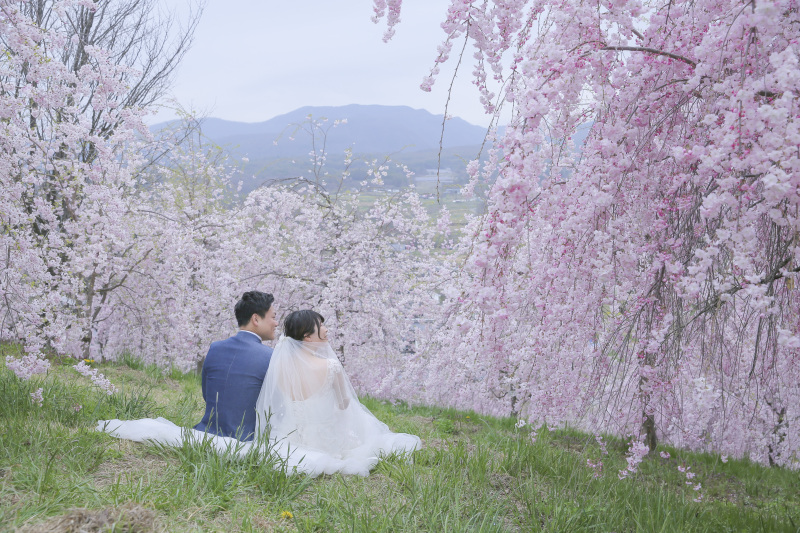 飯綱山からの景色。