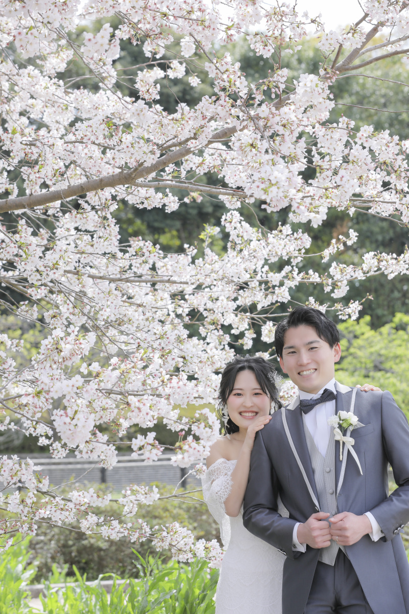 ひょっこりはん。