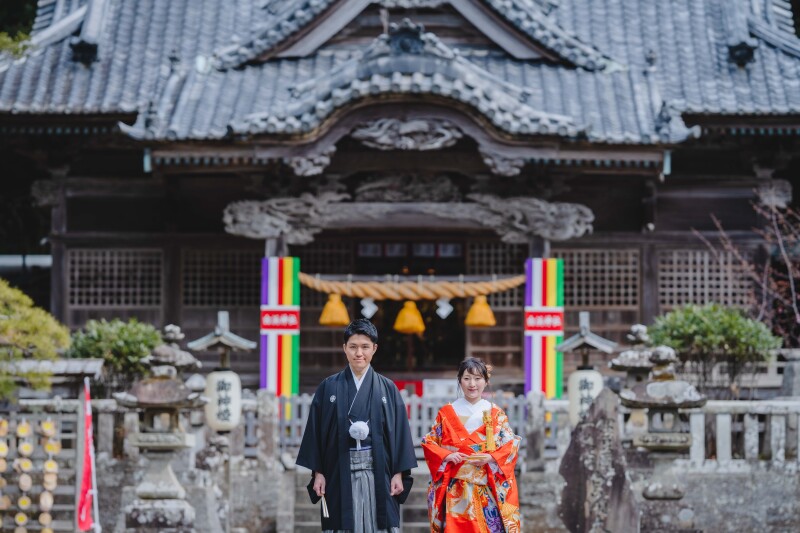 期間限定プラン