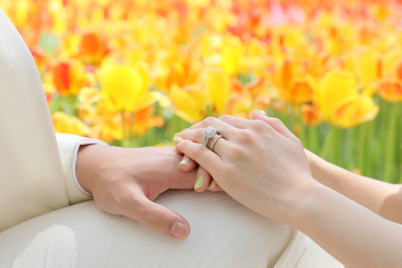 お手元のお写真