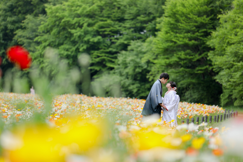 ポピーにつつまれて