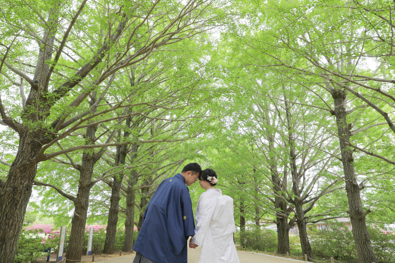 結びのショット。