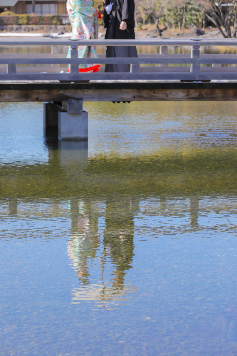 水面に反射して。