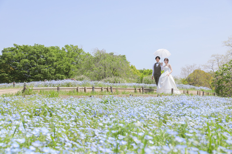 ネモフィラ畑でお散歩!
