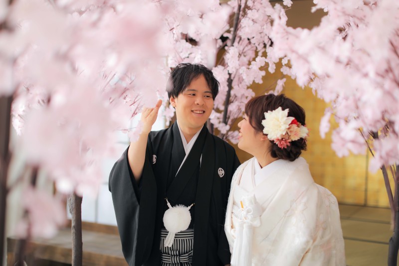 満開の桜を歩く