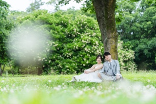 新緑が綺麗なシーズン