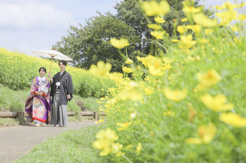 コスモス畑にお出かけ！！