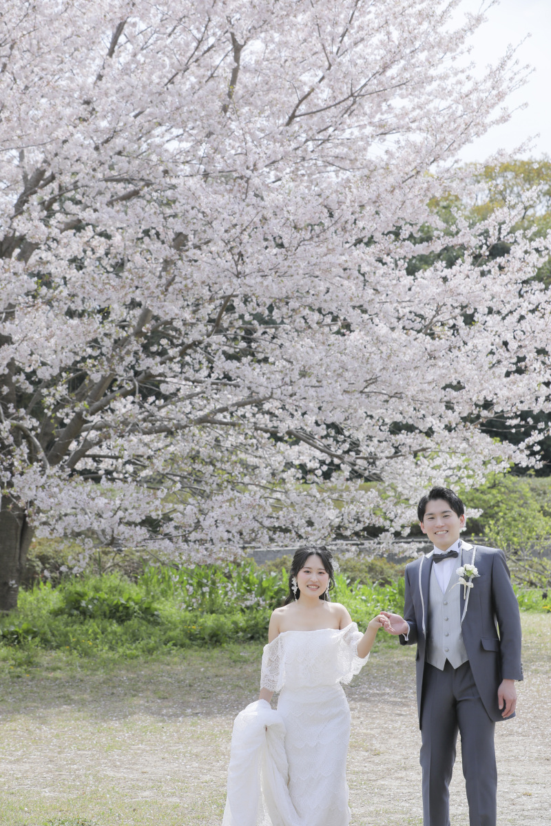 お散歩ショット。