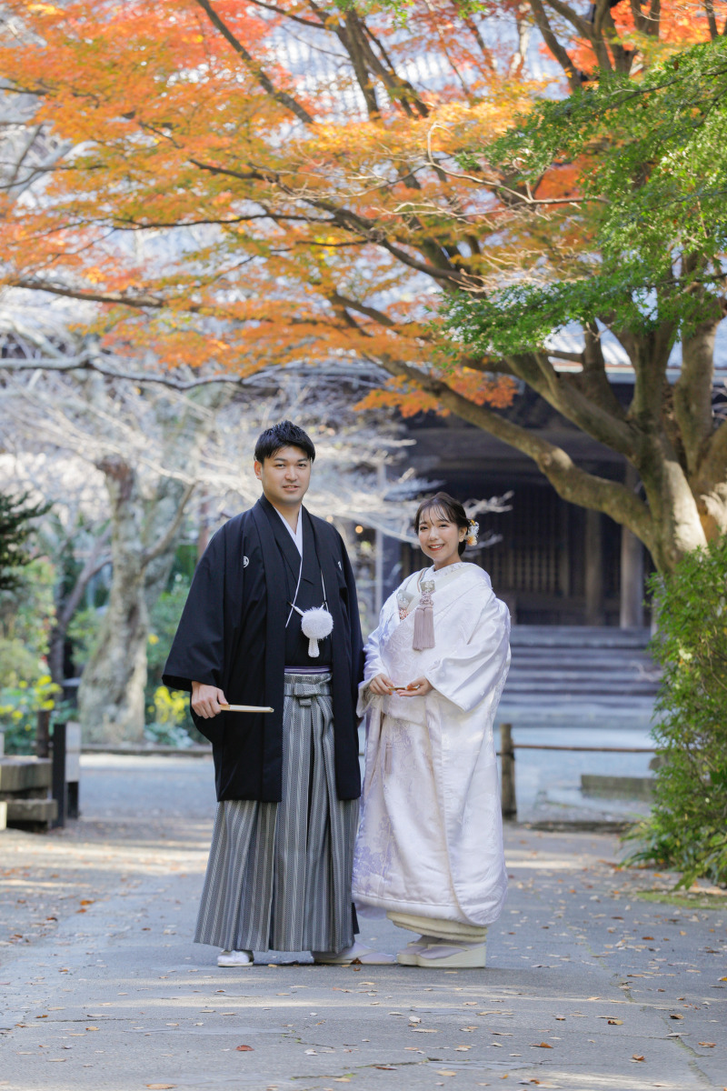 紅葉のスポット！