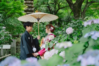 紫陽花ロケーション