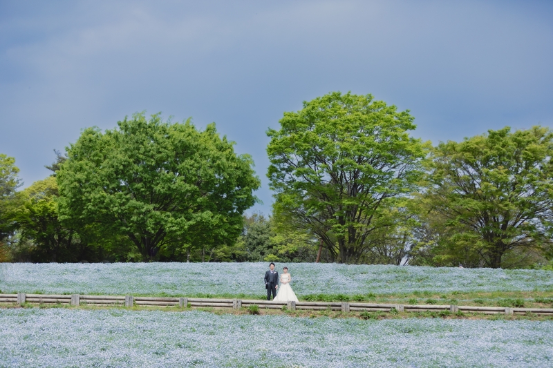 青空×ネモフィラ