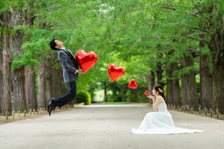 昭和記念公園『新緑』