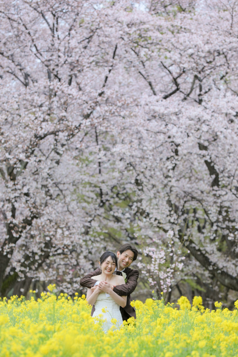 桜と菜の花