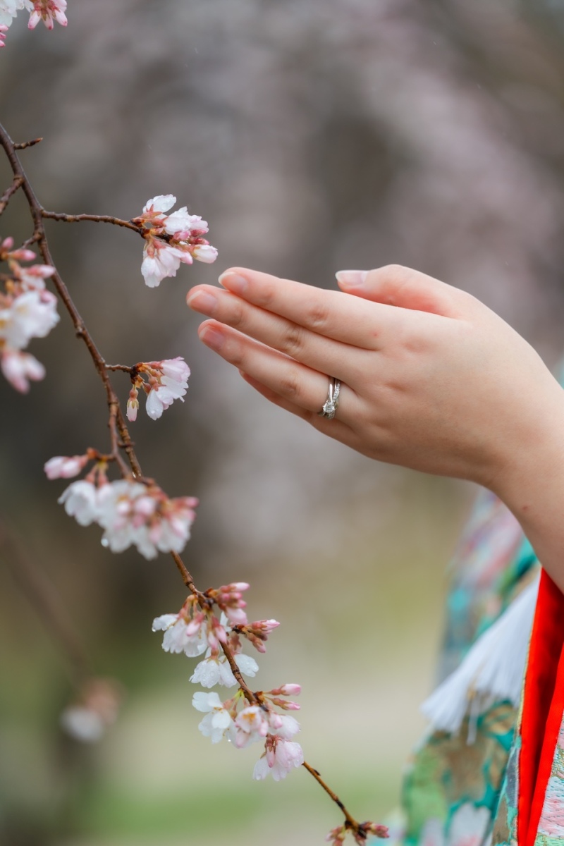 昭和記念公園で桜ロケーション! 6