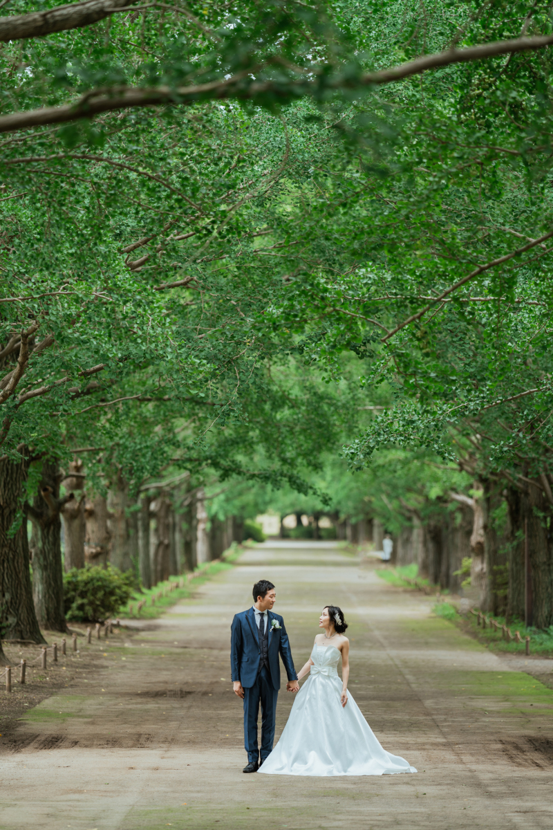 おしゃれな並木道