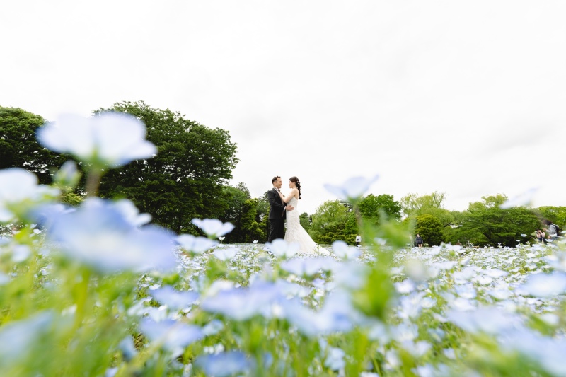 国営昭和記念公園
