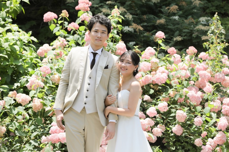 ピンクの紫陽花♡