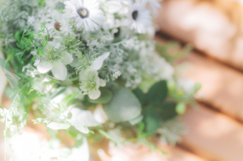 新緑の昭和記念公園5