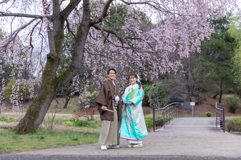 枝垂れ桜
