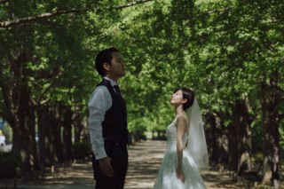 並木道とコスモス