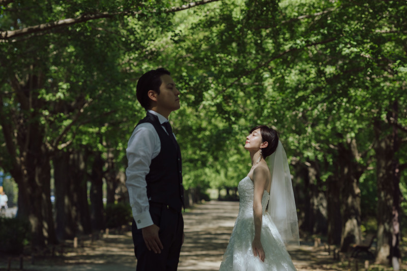 並木道とコスモス