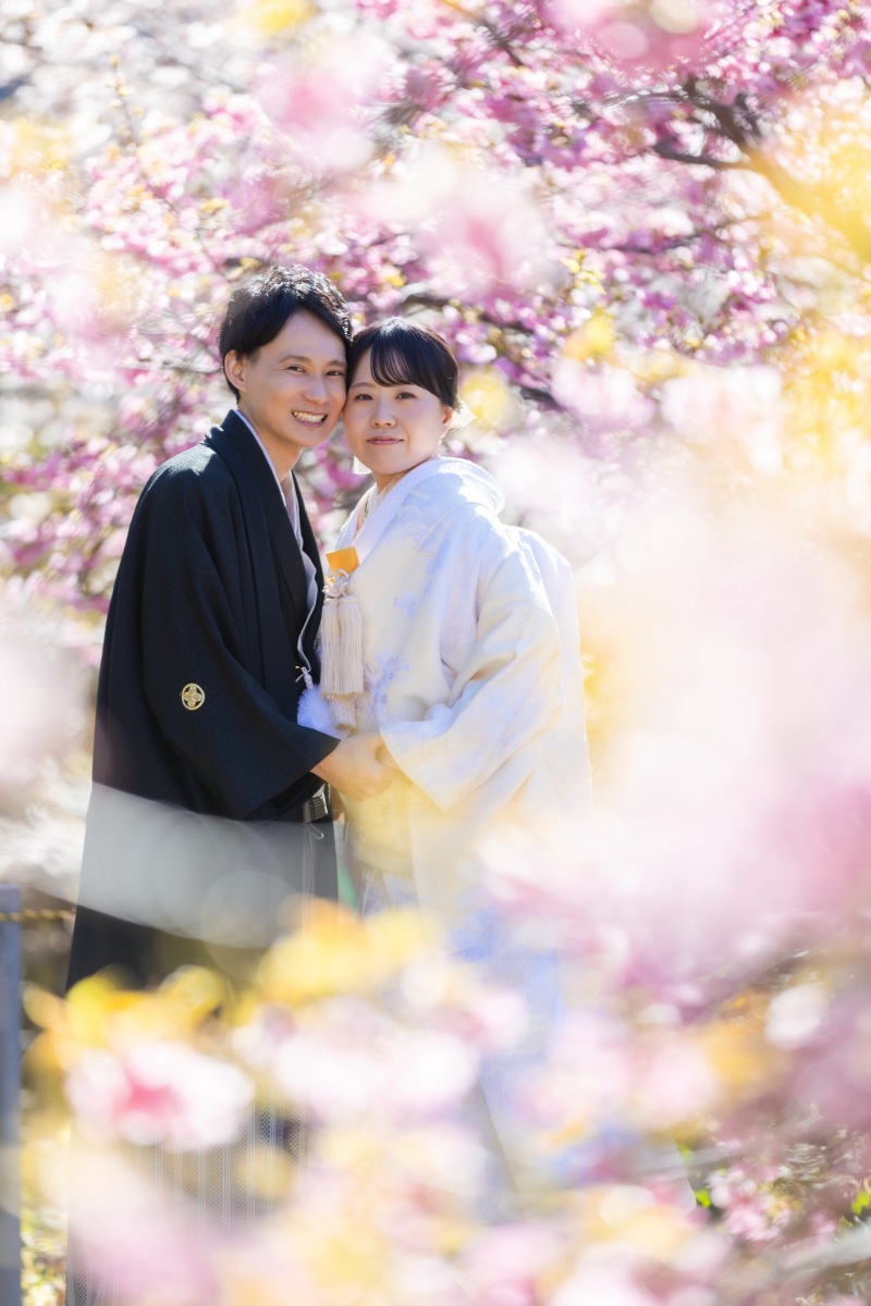 桜につつまれて