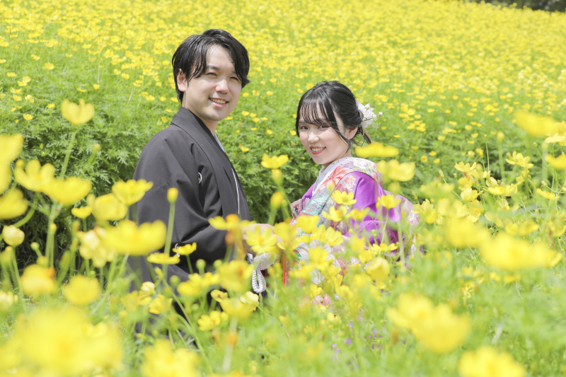 コスモス畑で埋もれてみた。