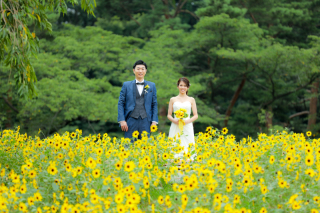 夏の昭和記念公園