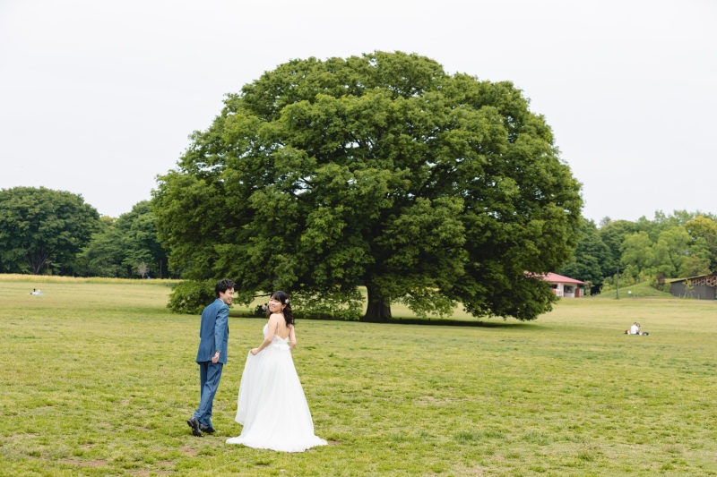 みんなの原っぱ