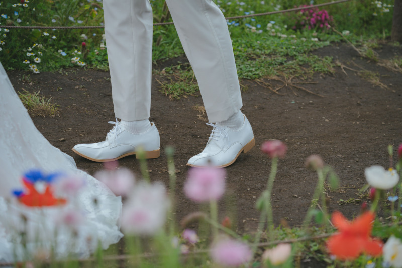 イメージカット