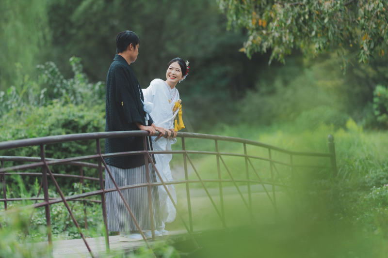 日本庭園とコスモス7