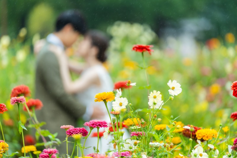 お花にフォーカス