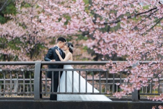 昭和記念公園で桜ロケーション！