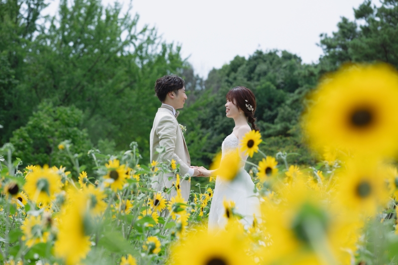 サンフィニティ