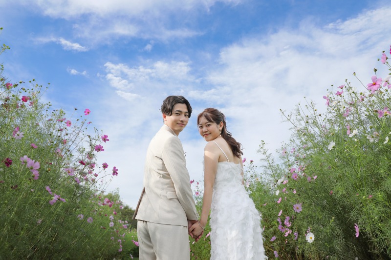 青空とコスモス