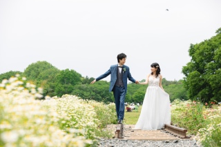 昭和記念公園と屋内庭園スタジオ