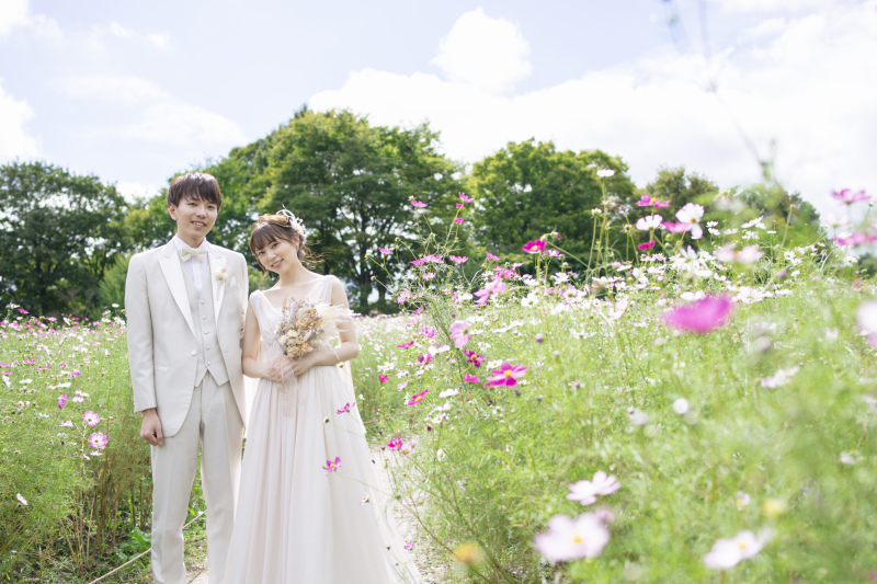 コスモスと一緒に