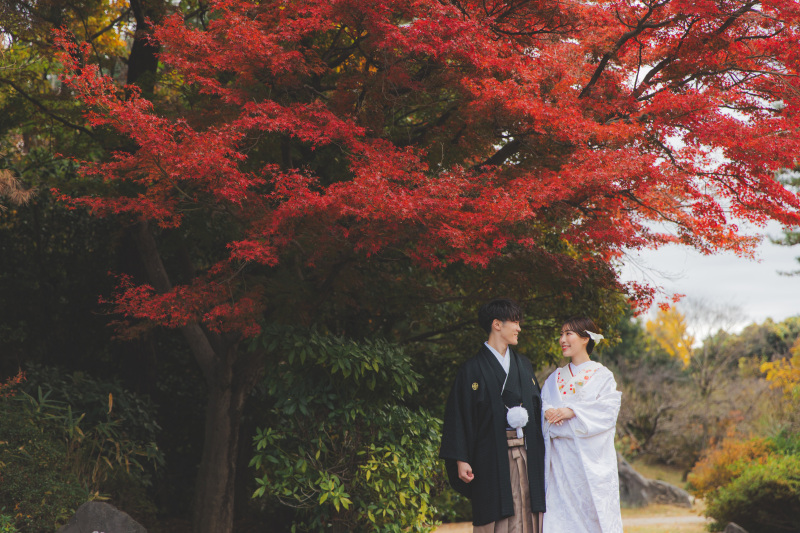 紅葉とイチョウ1
